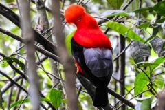 javier_ladino-68