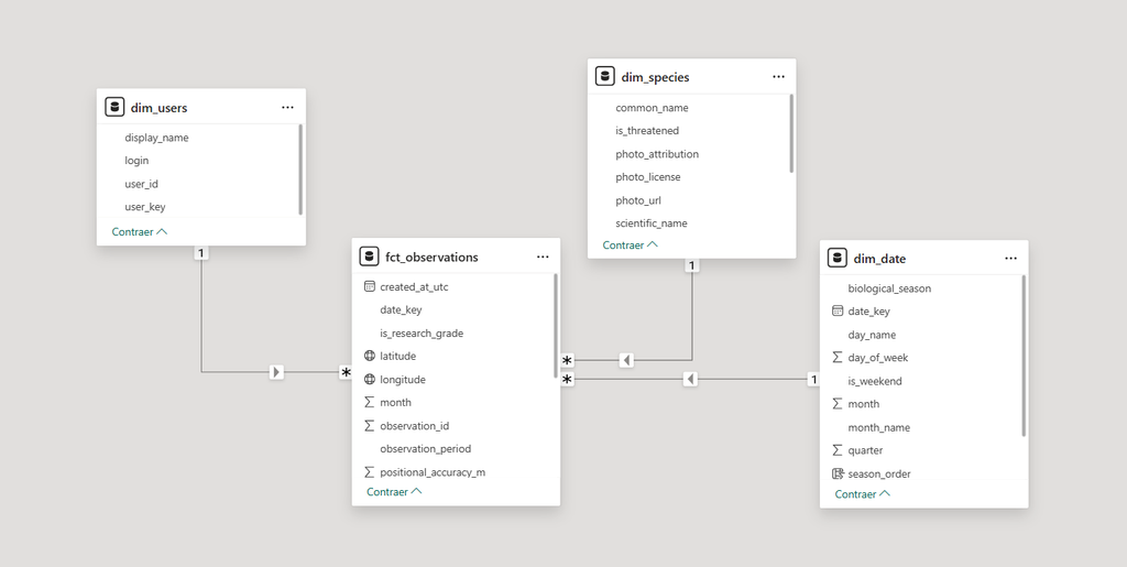 Power BI star schema: fct_observations fact table linked to the species, observer and date dimensions