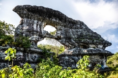 javier_ladino-3
