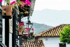javier_ladino-27